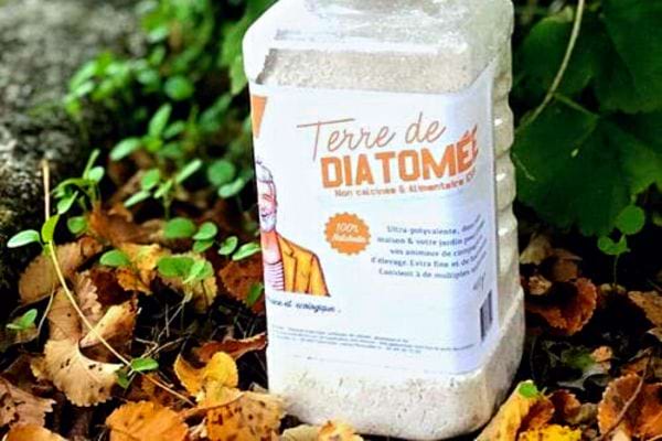 Un récipient de terre de diatomée dans la nature