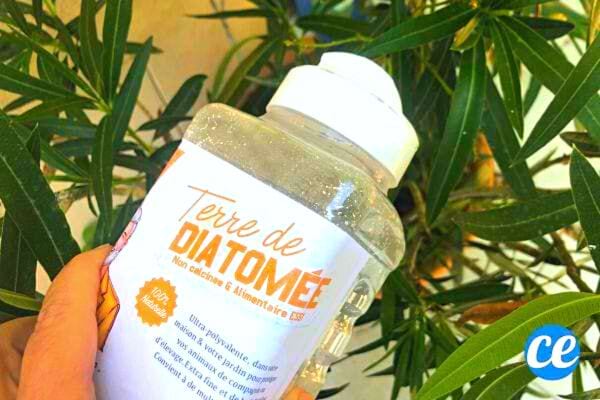 Une personne tenant un récipient de terre de diatomée devant des plantes