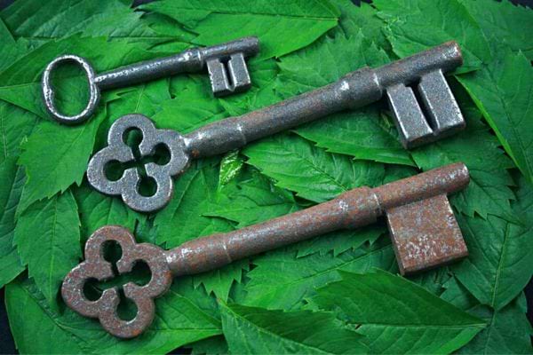 Trois anciennes clés sur des feuilles vertes