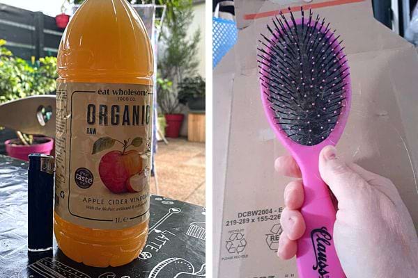 le vinaigre de cidre pour nettoyer les brosses à cheveux