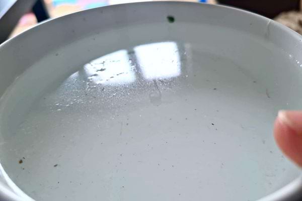 Un bol blanc remplie d'eau