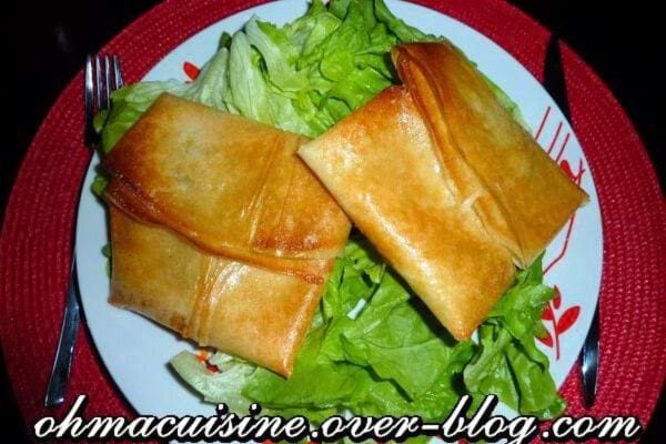 Des bricks à la tomate et à la mozzarella sur de la salade dans une assiette 