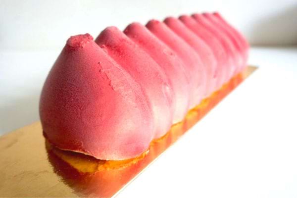 Une bûche aux fruits rouges