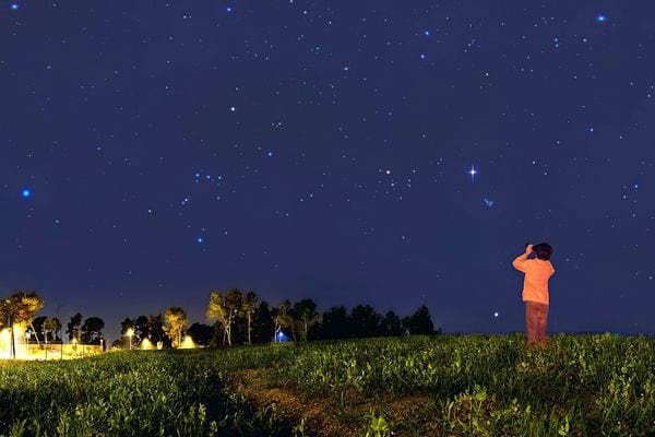 Un enfant qui regarde les étoiles 