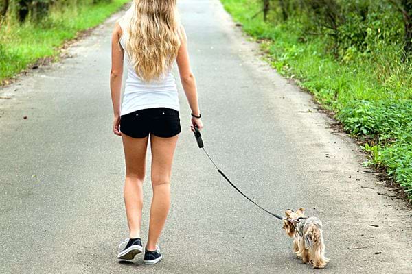 Une petite fille promenant son chien 