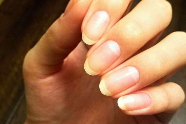 La main d'une personne avec des ongles ovales