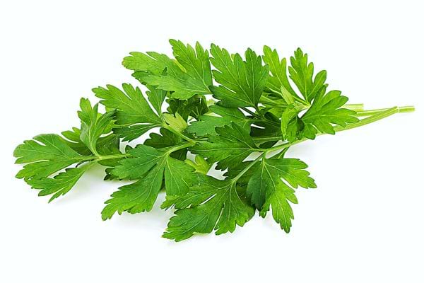 Du persil frais