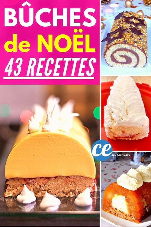 Buche de noel : 4 exemples de recettes de bûches de Noël faciles et rapides à faire à la maison 