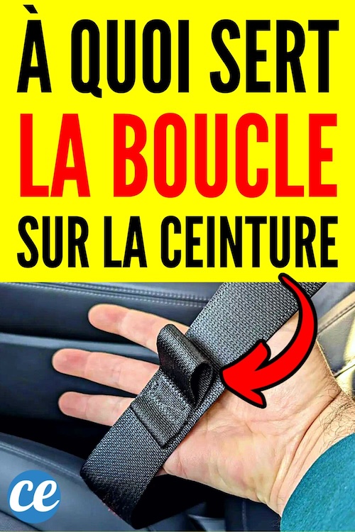 Clips Ceinture De Sécurité Universels | Anti-Alarme & Anti-Poussière - Pour Voiture