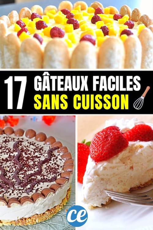 Des recettes de gâteaux sans cuisson à faire à la maison facilement