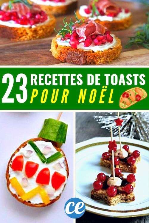 23 Recettes de Toasts Pour Noël (Faciles et Pas Chers à Faire).