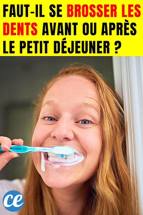 Fautil se Brosser les Dents Avant ou Après le Petit Déjeuner