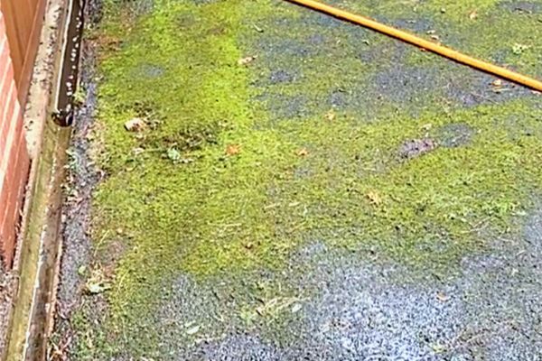 Le Vinaigre Blanc Pour Éliminer la Mousse sur le Goudron.