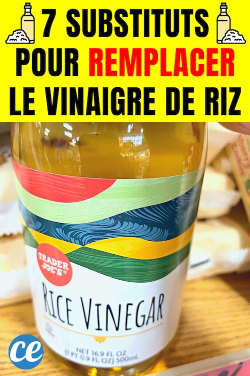 Par Quoi Remplacer le Vinaigre de Riz ? 7 Substituts.