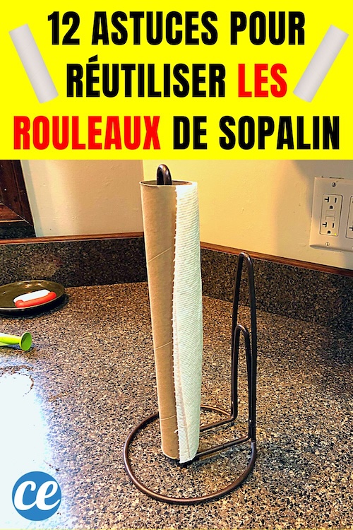 12 Astuces Pour Réutiliser les Rouleaux de Sopalin. — free download