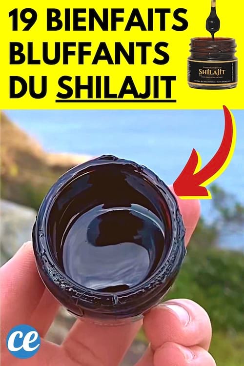 Shilajit 19 Bienfaits et Dangers des Larmes de l