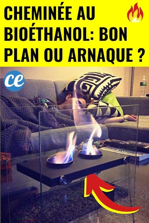 Une cheminée bioéthanol à la maison dans le salon pour chauffer la pièce