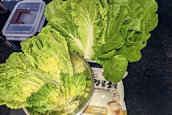 Bol de chou frais - le chou est utilisé dans la préparation des aliments fermentés