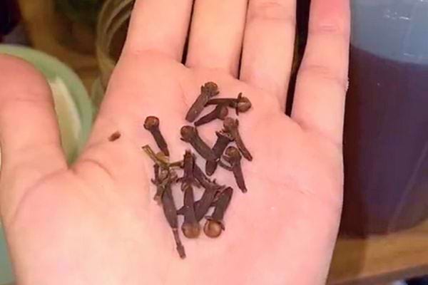 Eine offene Hand hält ganze Nelken.