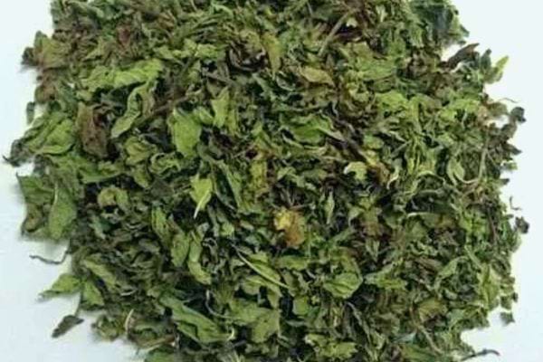 Menthe séchée éparpillée, résultat de la menthe non conservée de manière optimale.