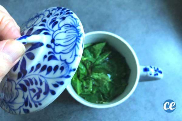 Une tasse avec un couvercle décoratif contenant des feuilles de menthe fraîche, une option pour le stockage à court terme.