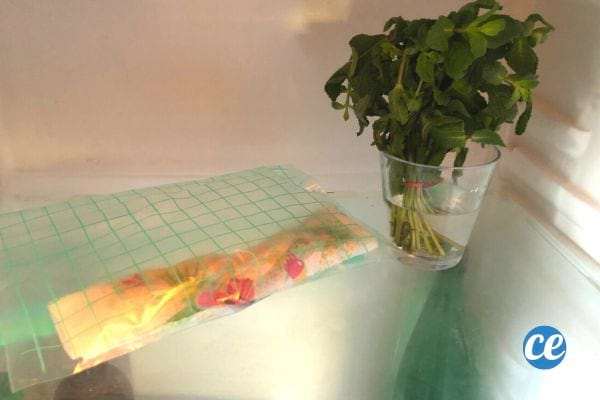 Un verre d'eau dans un réfrigérateur contenant des tiges de menthe, une technique pour garder les herbes fraîches.