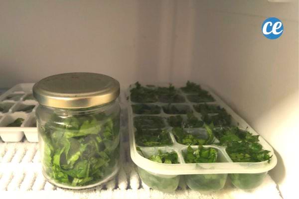 Un bocal en verre et un bac à glaçons contenant du persil congelé dans un congélateur.