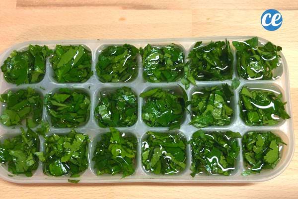 Bac à glaçons rempli de persil haché et d'eau pour congélation.