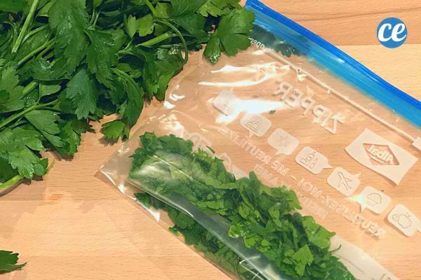 Persil frais placé dans un sac de conservation en plastique transparent avec une fermeture zip.