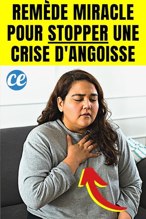 Une femme qui fait une crise d'angoisse à la maison qui essaie de la stopper