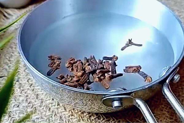 Shampoing au Clou de Girofle Pour la Pousse des Cheveux