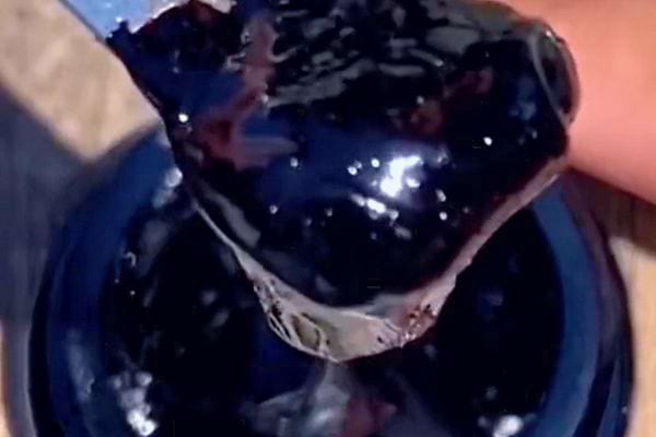 Gros plan sur une résine de Shilajit noire et luisante retirée d'un pot.