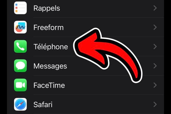 Menu des réglages du téléphone sur un iPhone, avec une flèche indiquant l'option 'Téléphone'.