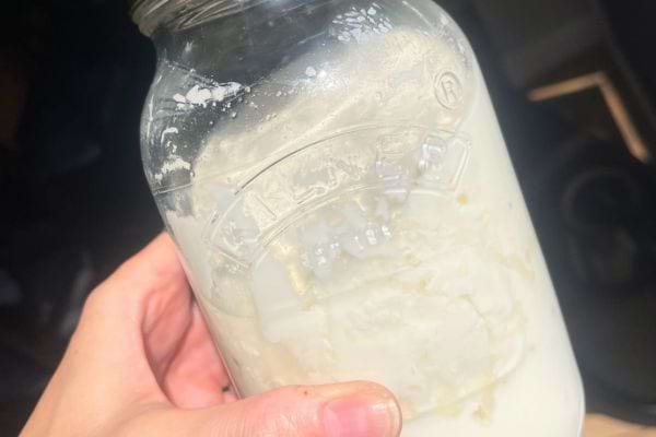 lait fermenté avec présure dans un pot