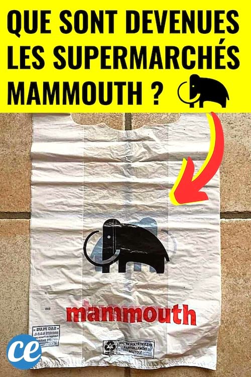 Des sacs en plastique du supermarché Mammouth qui ont disparu