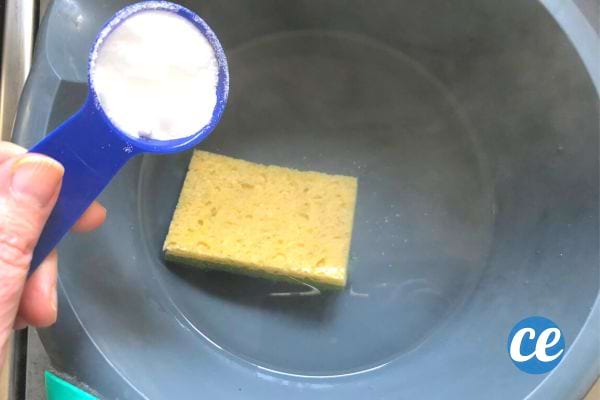 une éponge dans une bassine avec du bicarbonate pour la nettoyer