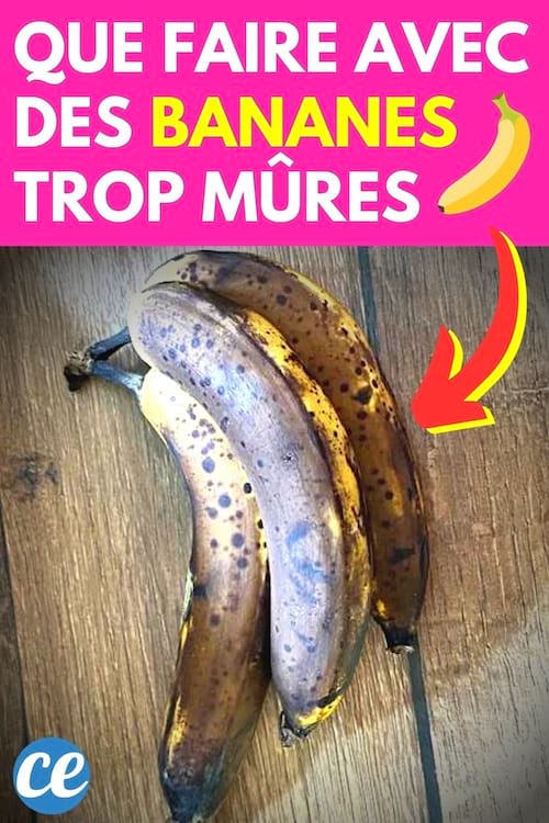 Des bananes trop mûres qui ont noirci à utiliser pour faire des recettes