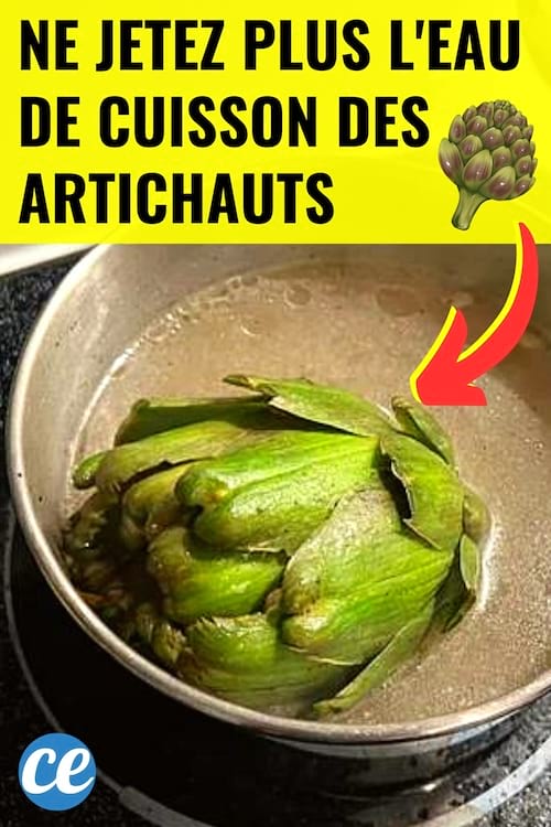 Un artichaut qui cuit dans une casserole avec de l'eau de cuisson à ne pas jeter