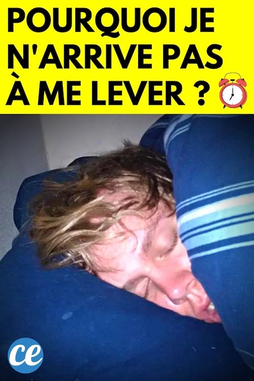 Je N
