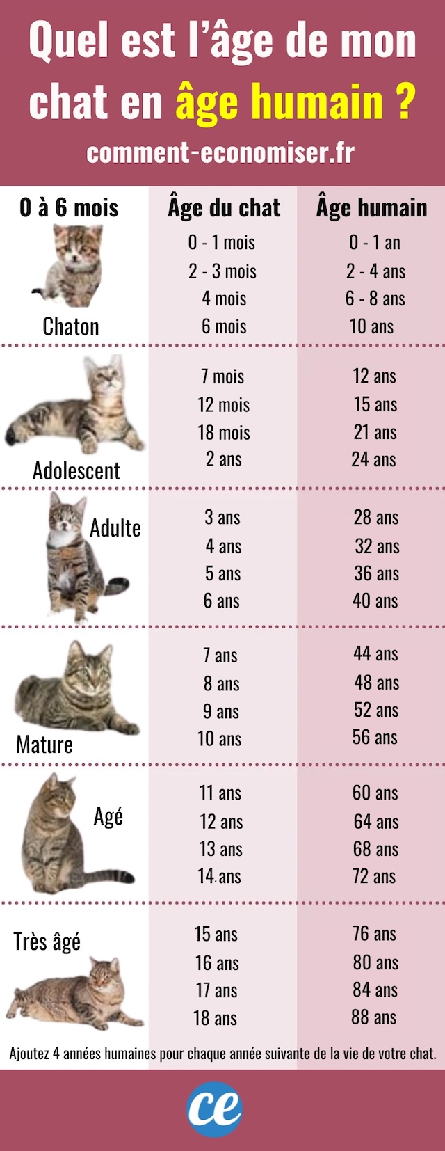 Le tableau pour calculer l'âge de votre chat en humain