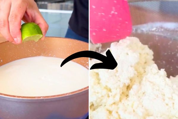 Comment Faire du Lait Caillé Maison ? La Recette Facile.