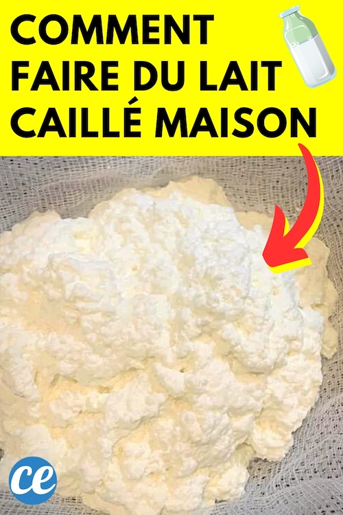 Comment Faire Du Lait Caillé Maison La Recette Facile 