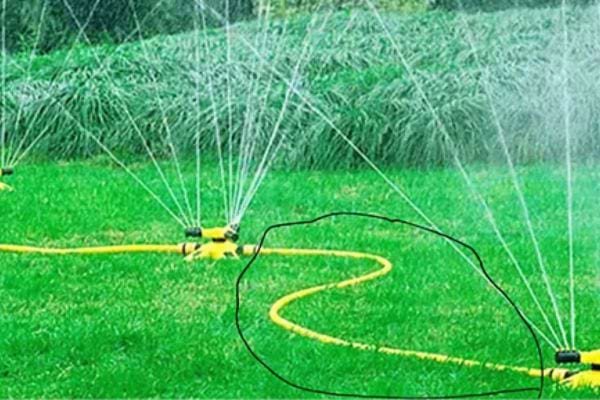 Arrosage automatique jaune actif sur une pelouse verte, avec un cercle noir dessiné autour.