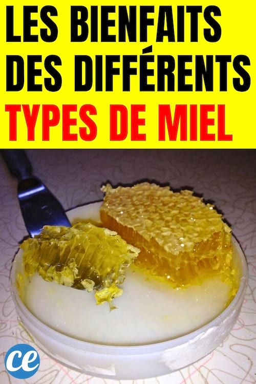 Les Bienfaits des Différents Types de Miel