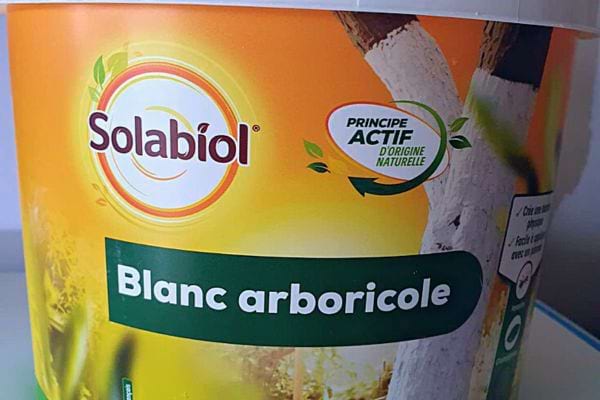 Un pot de peinture blanche pour arbres avec instructions, utilisé pour protéger et embellir les troncs d'arbres.