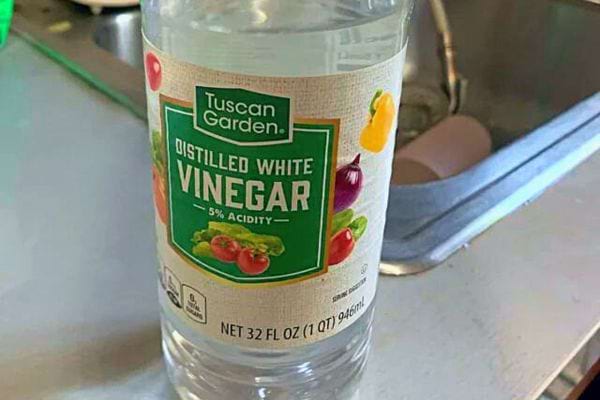 Bouteille de vinaigre blanc, remède contre les cloportes.