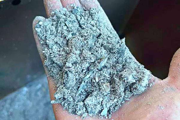 Main tenant de la cendre de bois, idéale pour divers usages au jardin.