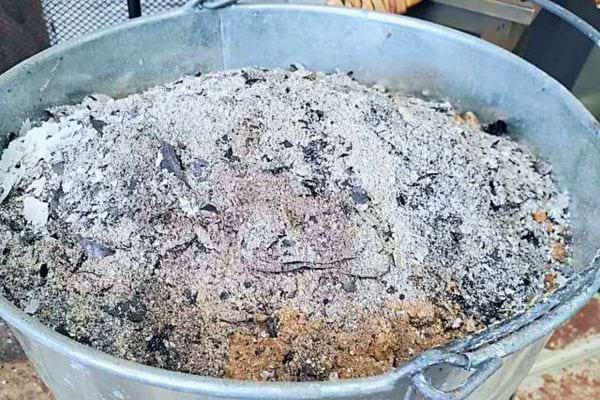 Seau métallique plein de cendre de bois, un amendement riche en nutriments pour le jardin.