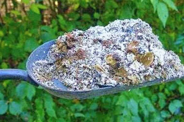 Pelle remplie de cendre de bois, utilisée pour la fertilisation écologique dans le jardin.