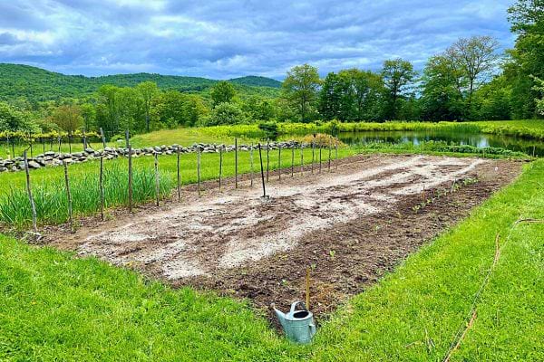 Lit de jardin amendé avec de la cendre pour enrichir le sol.